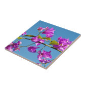 Bougainvillea-Blüten Fliese (Seite)