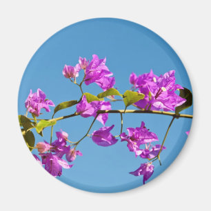 Bougainvillea-Blüten Magnet