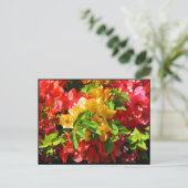 Bougainvillea Blüten Postkarte (Stehend Vorderseite)
