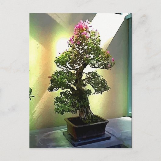 Bougainvillea Bonsai Tree Postkarte (Vorderseite)