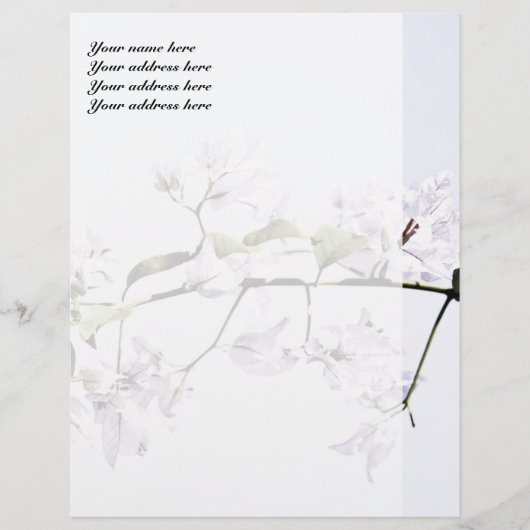 Bougainvillea Briefkopf (Vorderseite)