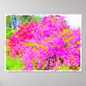 Bougainvillea-Busche, Aquarellmalerei Poster (Vorne)