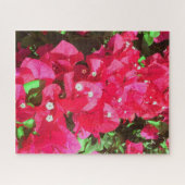 Bougainvillea Cascade Puzzle (Horizontal)