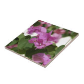 Bougainvillea Fliese (Seite)
