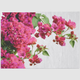 Bougainvillea Floral Griechische Insel am Mittelme Seidenpapier
