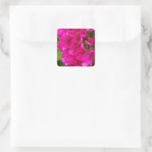 Bougainvillea Floral Stickers (Tasche)