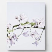 Bougainvillea Fotoplatte (Vorderseite)