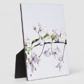 Bougainvillea Fotoplatte (Seite)