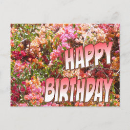 Bougainvillea Geburtstag Postkarte Rosa