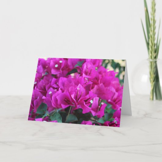 Bougainvillea - Greeting Card Karte (Vorderseite)