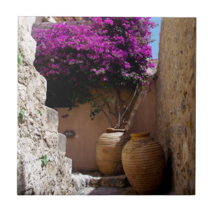 Bougainvillea in Amphorah Fliese