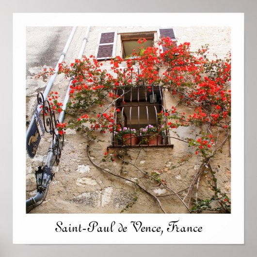 Bougainvillea in Window Poster (Vorne)