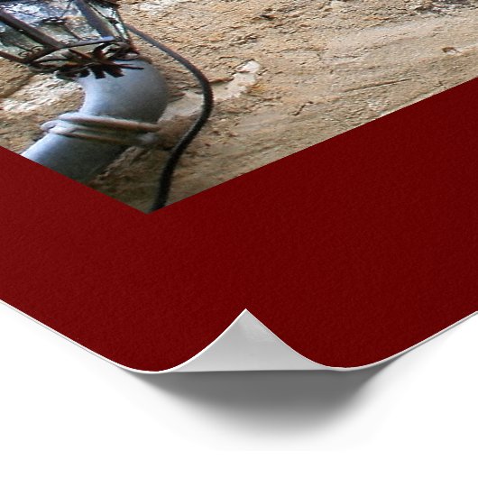 Bougainvillea in Window Poster (Ecke)