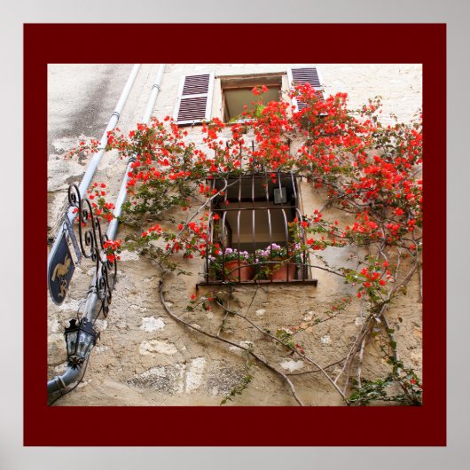 Bougainvillea in Window Poster (Vorne)