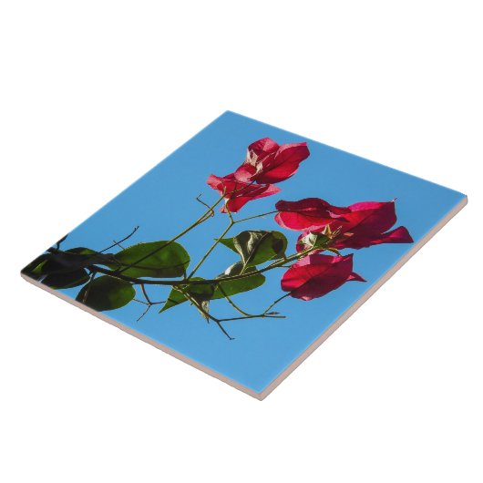 Bougainvillea Keramik Tile Fliese (Seite)