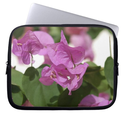 Bougainvillea Laptopschutzhülle (Vorderseite)