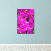 Bougainvillea Leinwanddruck (Insitu (Holzboden))
