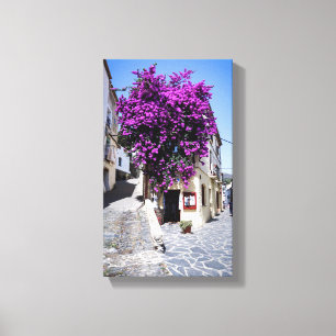 Bougainvillea Leinwanddruck