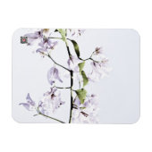 Bougainvillea Magnet (Horizontal)