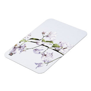 Bougainvillea Magnet