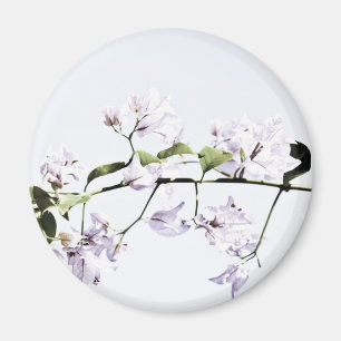 Bougainvillea Magnet