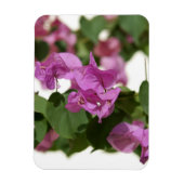 Bougainvillea Magnet (Vertikal)