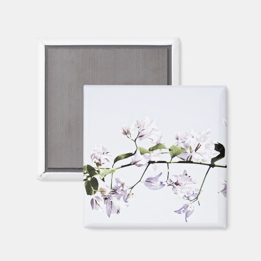 Bougainvillea Magnet (Vorderseite/Rückseite)