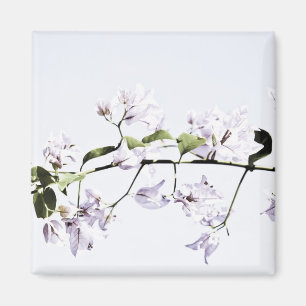 Bougainvillea Magnet