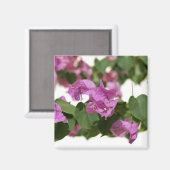 Bougainvillea Magnet (Vorderseite/Rückseite)
