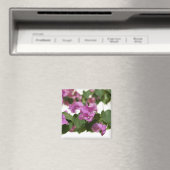 Bougainvillea Magnet (In Situ (Geschirrspüler))
