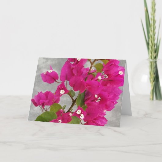Bougainvillea Note Cards Karte (Vorderseite)