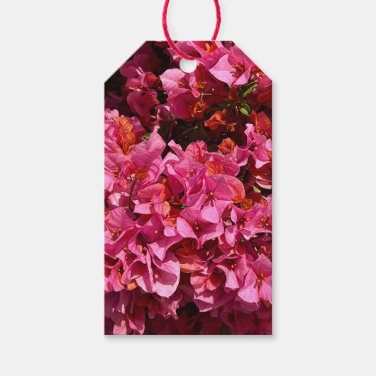 Bougainvillea Pink Tropical Vining Shrub Foto Geschenkanhänger (Vorderseite)