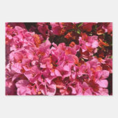 Bougainvillea Pink Tropical Vining Shrub Foto Geschenkpapier Set (Vorderseite)