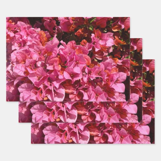 Bougainvillea Pink Tropical Vining Shrub Foto Geschenkpapier Set (Set)