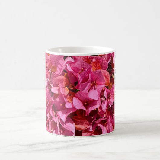 Bougainvillea Pink Tropical Vining Shrub Foto Kaffeetasse (Mittel)
