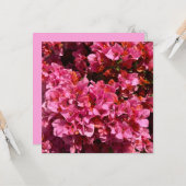 Bougainvillea Pink Tropical Vining Shrub Foto Karte (Vorderseite/Rückseite Beispiel)