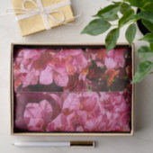 Bougainvillea Pink Tropical Vining Shrub Foto Seidenpapier (Geschenk)