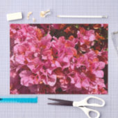 Bougainvillea Pink Tropical Vining Shrub Foto Seidenpapier (Handwerk)