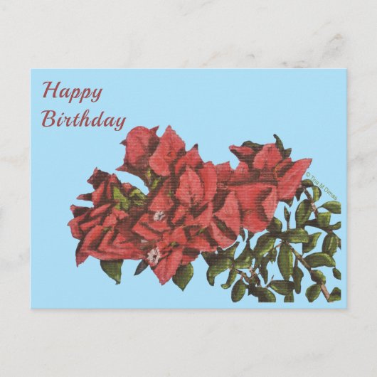 Bougainvillea Postcard Postkarte (Vorderseite)