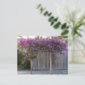 Bougainvillea Postcard Postkarte (Stehend Vorderseite)