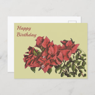 Bougainvillea Postcard Postkarte