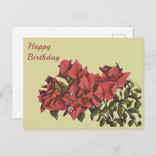 Bougainvillea Postcard Postkarte (Vorne/Hinten)