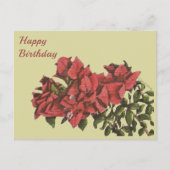 Bougainvillea Postcard Postkarte (Vorderseite)