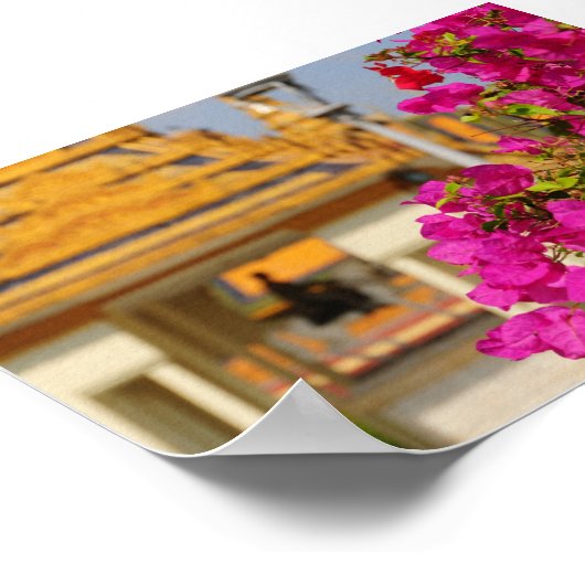 Bougainvillea Poster (Ecke)