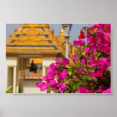 Bougainvillea Poster (Vorne)