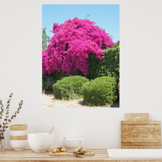 Bougainvillea Poster (Küche)