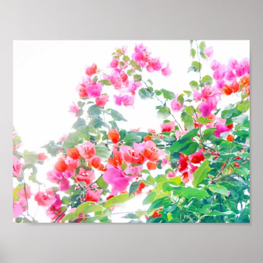 Bougainvillea Poster (Vorne)