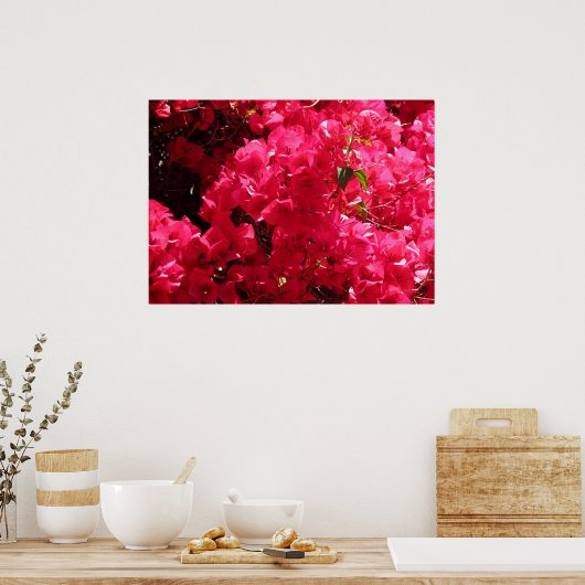 Bougainvillea Poster (Küche)