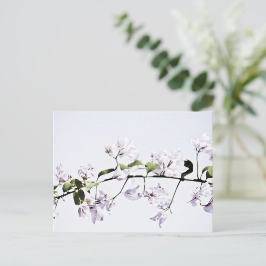 Bougainvillea Postkarte (Stehend Vorderseite)