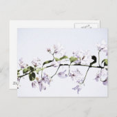 Bougainvillea Postkarte (Vorne/Hinten)